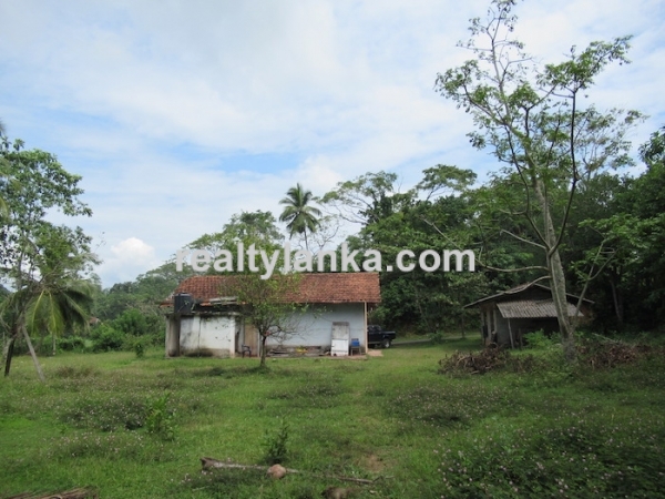 Property With A Beautiful Paddy View