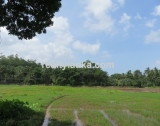 Property with a Relaxing Panoramic View Over Paady GI 148